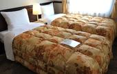 Туры в отель Toyoko Inn Narita Airport Honkan