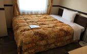 Туры в отель Toyoko Inn Narita Airport Honkan