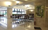 Туры в отель Toyoko Inn Narita Airport Honkan