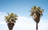 Туры в отель Costanero Hotel Montevideo - MGallery Collection