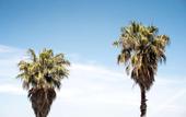 Туры в отель Costanero Hotel Montevideo - MGallery Collection