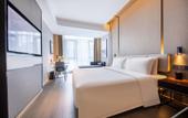 Туры в отель Nanjing Zhongshan Mausoleum Scenic Area Qidi Street Atour Hotel
