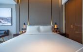 Туры в отель Nanjing Zhongshan Mausoleum Scenic Area Qidi Street Atour Hotel