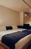 Туры в отель Hotel Graphy Nezu