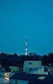 Туры в отель Hotel Graphy Nezu