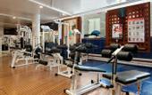 Туры в отель Hilton Stockholm Slussen