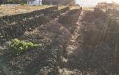 Туры в отель Vinhas do Calhau