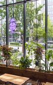 Туры в отель Anteroom Seoul