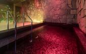 Туры в отель Solaria Nishitetsu Hotel Sapporo