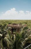 Туры в отель Nomade Temple Holbox