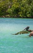 Туры в отель Nomade Temple Holbox