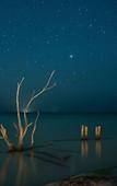 Туры в отель Nomade Temple Holbox