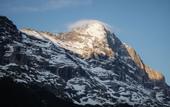 Туры в отель BERGWELT GRINDELWALD , ALPINE DESIGN RESORT