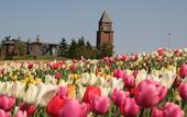 Туры в отель APA Hotel & Resort Sapporo