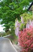 Туры в отель Hotel JAL City Nagano