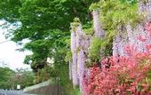 Туры в отель Hotel JAL City Nagano