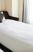 Туры в отель Hotel JAL City Nagano