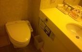 Туры в отель Hotel JAL City Nagano