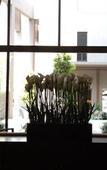 Туры в отель Hotel JAL City Nagano