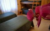 Туры в отель Hotel Colombo