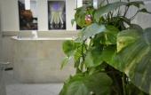 Туры в отель Hotel Colombo