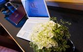 Туры в отель Hotel Minerva