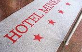 Туры в отель Hotel Minerva