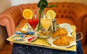 Туры в отель Hotel Minerva