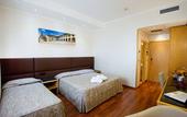 Туры в отель Hotel Minerva