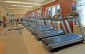 Туры в отель Hilton Times Square