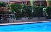 Туры в отель Orchid Resort