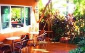 Туры в отель Orchid Resort