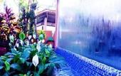 Туры в отель Orchid Resort