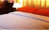 Туры в отель Orchid Resort