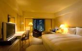 Туры в отель Hilton Tokyo