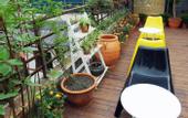 Туры в отель POSHPACKER Chengdu Flipflop Hostel
