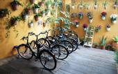 Туры в отель POSHPACKER Chengdu Flipflop Hostel
