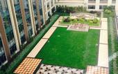 Туры в отель Wyndham Garden Hotel Foshan Nanhai