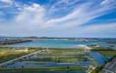 Туры в отель Manting Hotel (Yantai Yangma Island)