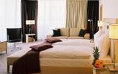 Туры в отель Hilton Vienna
