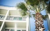 Туры в отель Hotel Sumorum