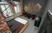 Туры в отель Lofthotel Sen Pszczoly