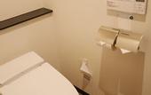 Туры в отель Sotetsu Fresa Inn Yokohama Sakuragicho