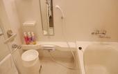 Туры в отель Sotetsu Fresa Inn Yokohama Sakuragicho