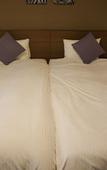Туры в отель Daiwa Roynet Hotel YOKOHAMA-KANNAI