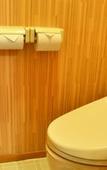 Туры в отель Hotel Okada