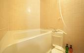 Туры в отель Hotel Okada