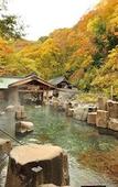 Туры в отель Takaragawa Onsen Osenkaku