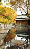 Туры в отель Takaragawa Onsen Osenkaku