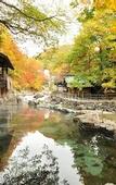 Туры в отель Takaragawa Onsen Osenkaku